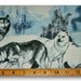 Wolves in Snow - Fabric By The Yard