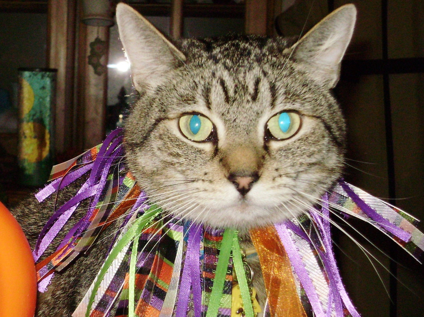 Halloween Cat Clown Collars