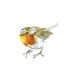 Robin original watercolor painting by Eva Forest Paper size: 8,26"x11,7" (21x29,7cm A4)