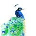Peacock original watercolor painting by Eva Forest A4