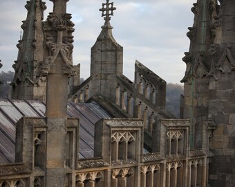 Bath Cathedral Tracery - 12 x 18"