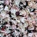Real petal confetti - vintage wedding confetti - 1 pint