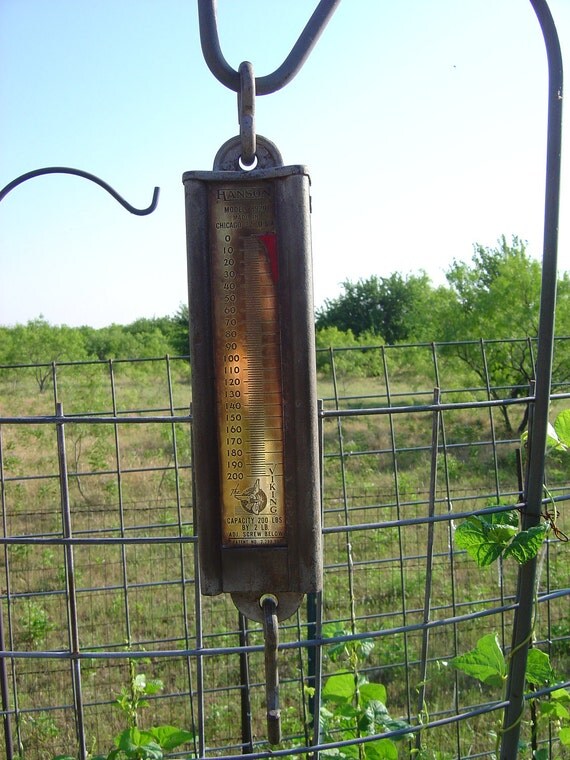 Hanson Model 8920 Hanging Scale