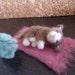 SALE--- sleeping cat with her friend.