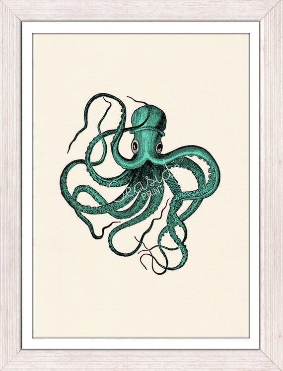 vintage octopus clipart - photo #34
