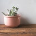 ceramic bowl peach bowl planter mervyns japan