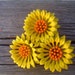 Vintage Bright Flower Brooch Yellow and Orange Mod