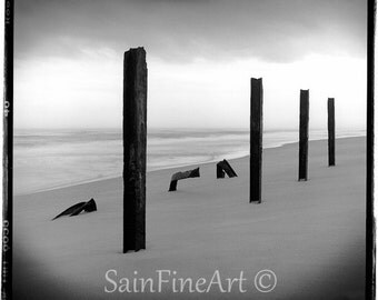Poles of Marineland - Black and White - Landscape - Fine Art Photography 8"X8"
