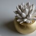 White Modern Succulent Sculpture with Round Gold Container, Tabletop Centerpiece, Desktop Accessory