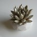 Champagne Succulent Sculpture, White Modern Faceted Geometric Container, Desktop, Tabletop Centerpiece