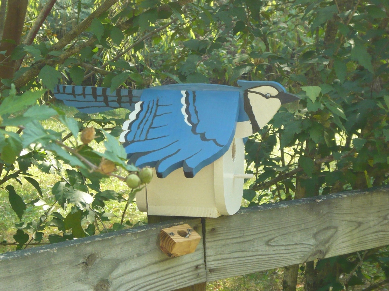Blue jay bird house