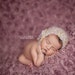 Newborn Photography Fabric Backdrop - Lavender Rose field Backdrop - 2 Yards