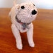 Hand knitted Labrador Dog