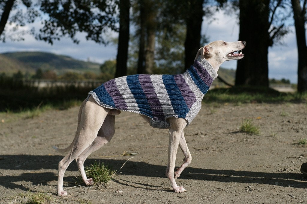 Whippet Sweater / Merino / Striped by SleepAndHound on Etsy