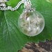 Dandelion Glass Orb Pendant Fairy Hollow Glass Pendant Necklace