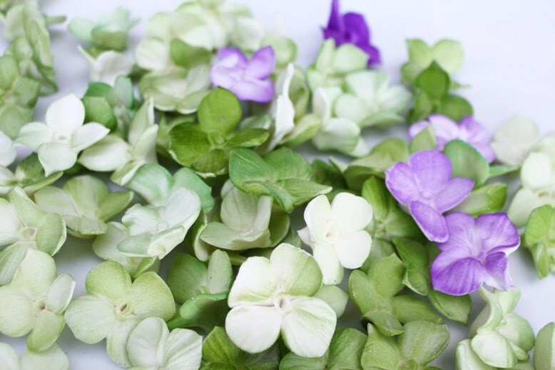 Edible Sugar Flowers Hydrangeas Cake Decoration 25 qty for
