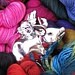 yarnpiggy