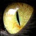 spiritualsight