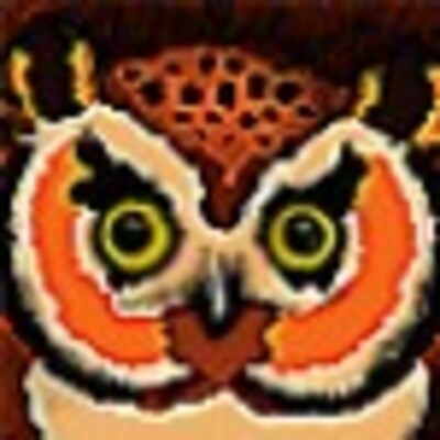 Amazing Owl Emporium