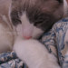 Lucy