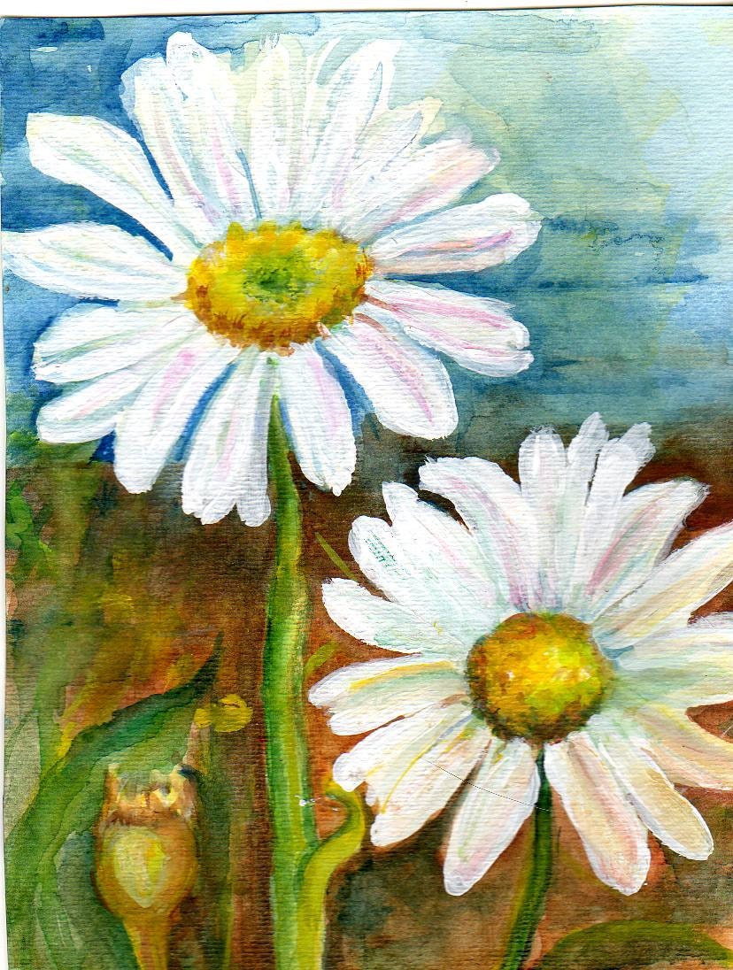 Shasta Daisies Original Watercolor Painting by SharonFosterArt