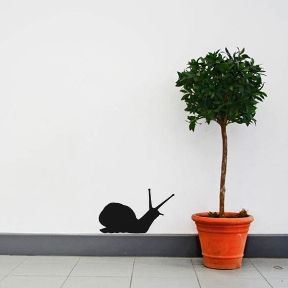 Giant Snail Vinyl Wall Decal by WilsonGraphics on Etsy