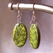 Earrings - Ghost Fronds