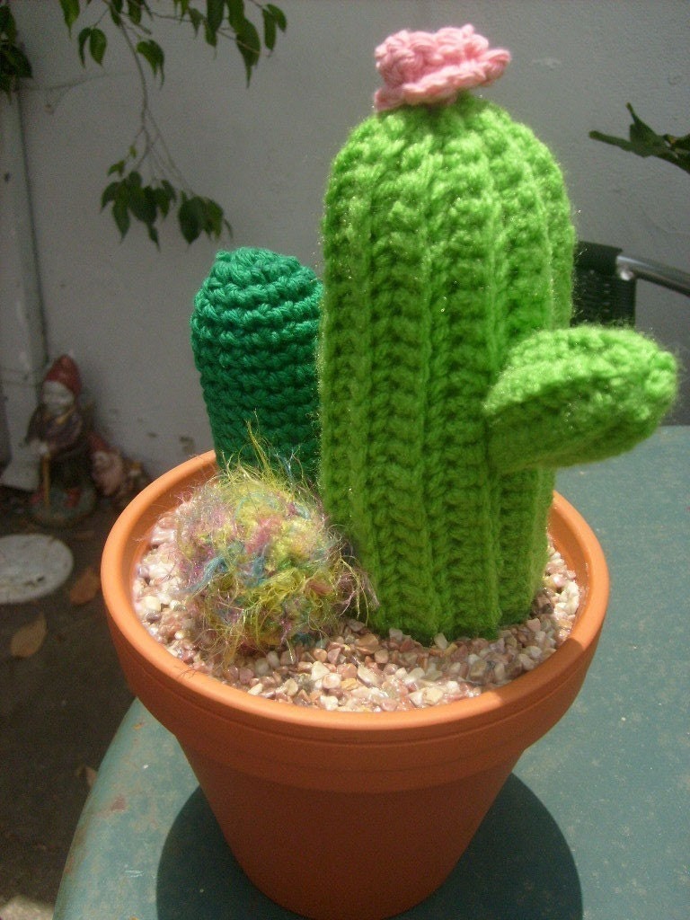 small ideas crochet Displaying  Small For Cactus Images  Garden 20>