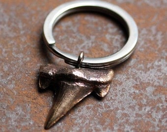 Shark tooth key chain, bronze shark tooth, bronze anniversary gifts for men, keyring, mens gift, rustic gift, groomsmen gift, ready to ship