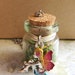 Fairies Garden Necklace Faerie Fay Fae Fairy Realm Fantasy Mystical Mermaid Simple Magical Bottle Hand Painted