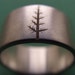 Wedding Band Oregon Pine in Sterling Silver