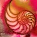 Sea Jewels 2 .... Original abstract Nautilus Shell watercolor painting art by Kathy Morton Stanion EBSQ