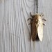 SALE - Cicada Necklace. Bug Jewelry. Insect Necklace. Long Layering Pendant. Rustic Science Entomology Nature Jewelry. FREE Shipping in US