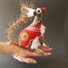 Baby Squirrel Sparkle - Not long after little Sparkle was born she asked mama where her name came from