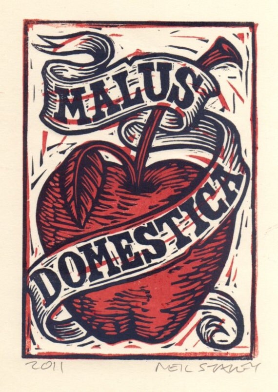 Apple with Latin Name Linocut Art Print