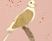 Little mother  Streptopelia decaocto print of original illustration