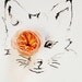 fox_no_6