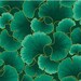 Gingko Leaves Teal and Gold Kona Bay Fabric 1 yard LAST IN STOCK