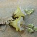 Flower Earrings with Yellow and White Lucite Flowers, Czech Glass, and Antique Brass