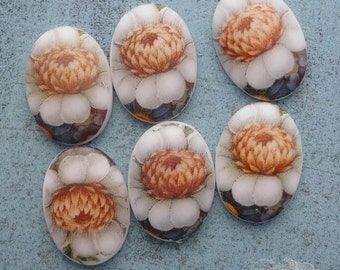 Vintage Glass Cabochons 13x18 mm Decal Cabs White Chrysanthemum Flowers (choose 2 pc or 4 pc)