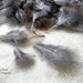 Feathers Marabou Semiplume Down Fluff Feather Fill Stuffing Craft Supplies Multicolored Speckled Sussex Rooster Free Range Birds 200 - 119