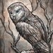 Barn Owl in Snow, matted original ink and watercolour painting by Eden Bachelder