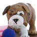 English Bulldog Art Polymer Clay Dog Sculpture Original Art Dog Lover Gift