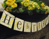 Easter Decoration HE is RISEN Banner Il_170x135