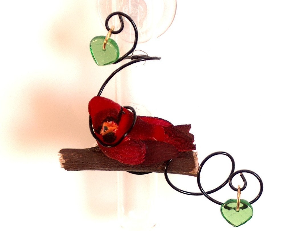 Cardinal Suction Cup Vases Glass Rooting Vases by VasePlace