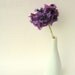 Plum Fizz Ribbon Flower