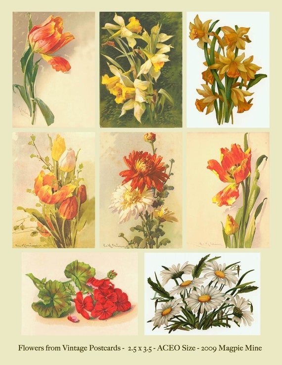 Vintage Flowers Collage Sheet Postcards Spring and Summer