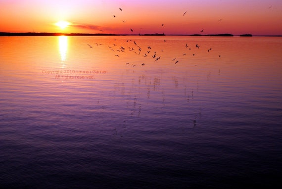 Flight - Sunset Sunrise Photography Purple Pink Orange Yellow Lake Murray Water Nautical Fine Art Metallic Print - 8x10 Photograph