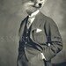 Louis- lustre print size A4 ( 8.3 in x 11.7 in ) - anthropomorphic gentleman fox drawing art doll black white animal portrait fantasy