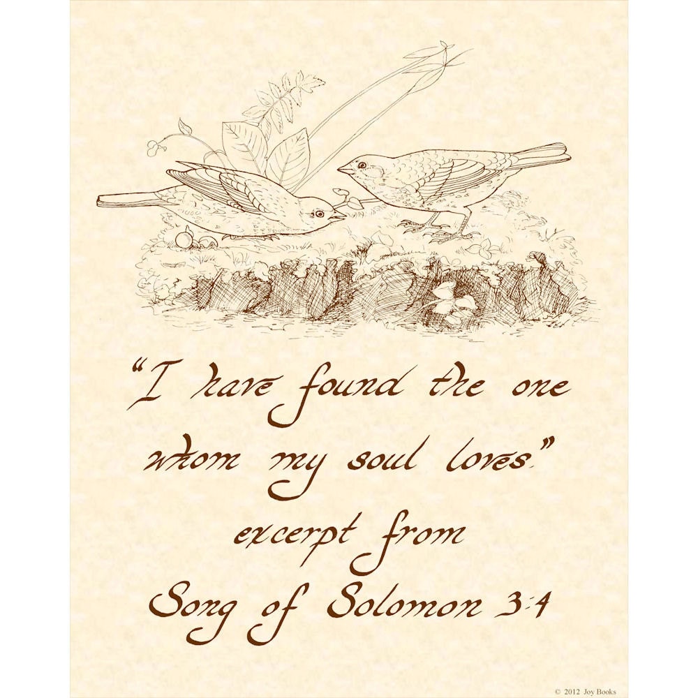 Song of solomon essay